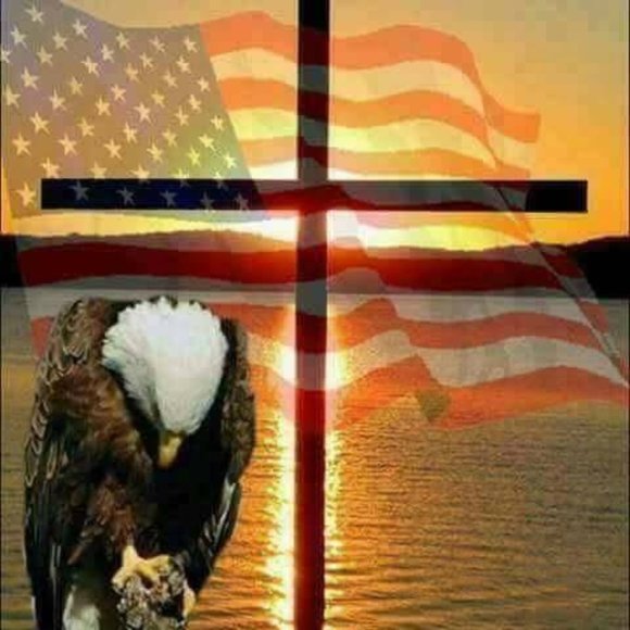 Meet your Posher, Jamie - Picture 3 of 17